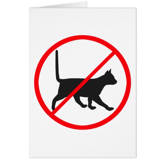 Chats interdits ! (Devant)