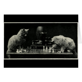 Chats Jouant aux échecs