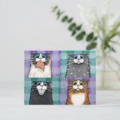 Chats Jusqu'À Pas De Bonne Carte Postale (Debout devant)