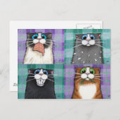 Chats Jusqu'À Pas De Bonne Carte Postale (Devant / Derrière)