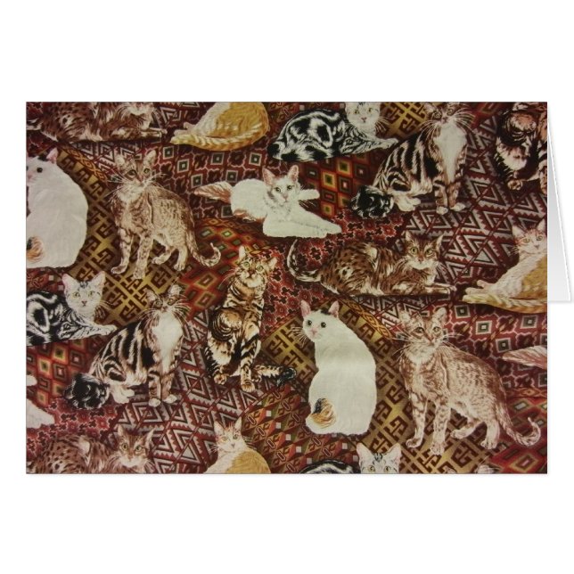 Chats & Kitties (Devant horizontal)