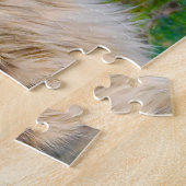 Chats Maine Coon. Puzzle (Côté)