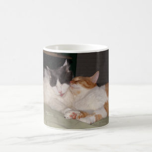 Chats mignons Chats couchés Règle Mug