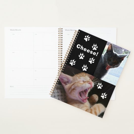 Chats mignons et amusants qui rient (Devant avec enveloppe)