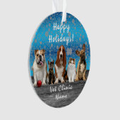 Chats mignons et chiens Vétérinaires Noël (devant)