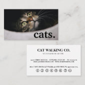 Chats modernes. carte punch fidélité (Devant / Derrière)