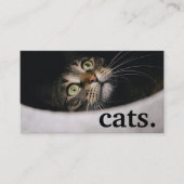 Chats modernes. carte punch fidélité (Devant)