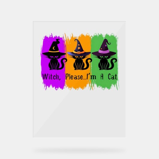 Chats Noirs En Sorcière Casquette Essentiel T-Shir (Recto)