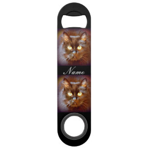 chats noirs mignons