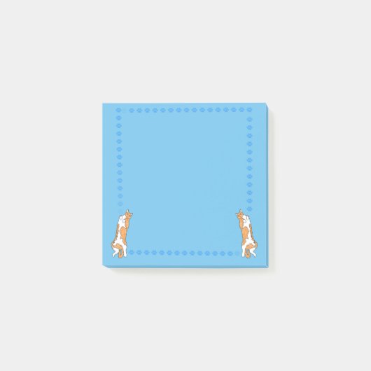 Chats orange sur fond bleu Post-it (Devant)