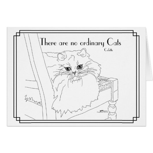 Chats pas ordinaires (Devant horizontal)