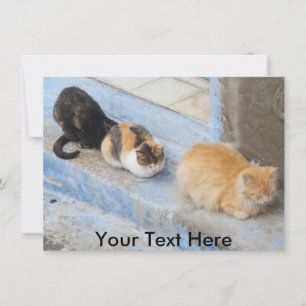 Chats personnalisables, Carte Chefchaouen, Maroc