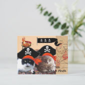 CHATS PIRATES CARTES ET DRAPEAU DE PIRATES ANTIQUE (Debout devant)