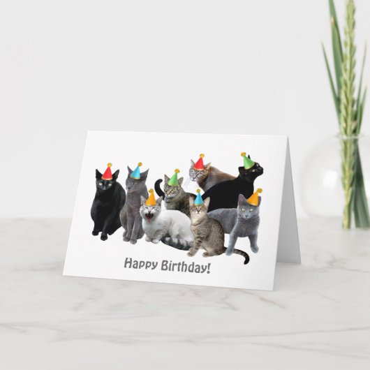 Chats Portant une Casquette de fête Carte d'annive (Devant)