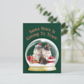 Chats Ragdoll dans le monde des neiges Carte de vo (Debout devant)