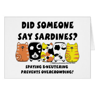 Chats Sardine