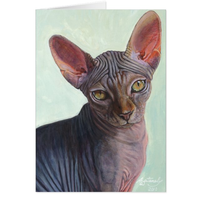 Chats Sunitha de chat de sphinx de Sphynx (Devant)