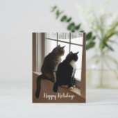 Chats Tabby & Noir et Blanc Carte Postale Fenêtre (Debout devant)