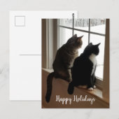 Chats Tabby & Noir et Blanc Carte Postale Fenêtre (Devant / Derrière)