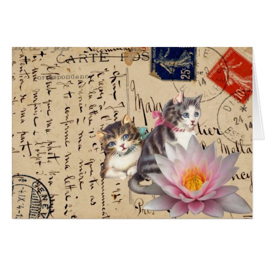 Chats vintages et fleurs (Devant horizontal)