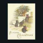Chats vintages sur la carte postale de Joyeux Noël<br><div class="desc">Belle carte postale vintage de Noël montrant 4 sur des escaliers regardant un arbre de Noël bien décoré.</div>