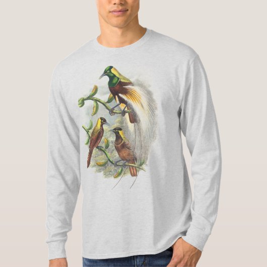 Chatte birds, tshirts hommes (Devant)