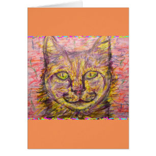 chatte du jour ensoleillé