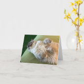 Chatte peluche endormie Carte de bon rétablissemen (Fleur jaune)