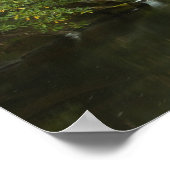 Chattooga, Dawn Poster (Hoek)