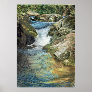 Chattooga Poster