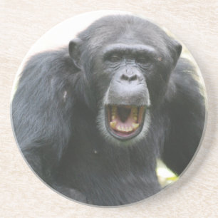 Chatty Chimpansee Bord Zandsteen Onderzetter