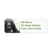 Chatty Chimpansee Mailing Labels (Voorkant)