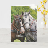 Chatty paarden verjaardag kaart (Gele Bloem)