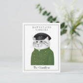 CHAUFFEUR DE CHAT Carte postale (Debout devant)