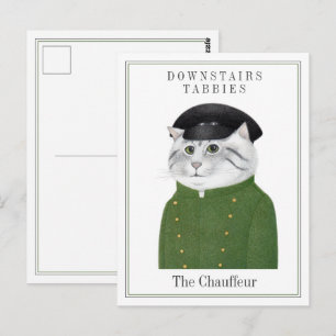 CHAUFFEUR DE CHAT Carte postale