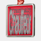 Chauffeur Extraordinaire Metalen Ornament (Links)