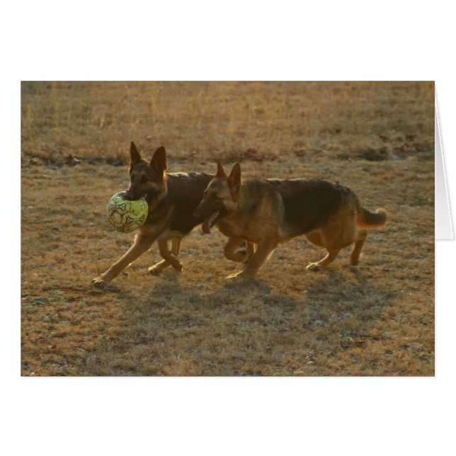 Chauncey en Abie (Voorkant Horizontaal)