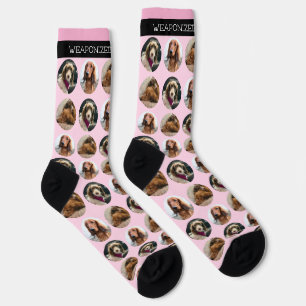 Chaussette 3 Chaussettes d'équipage Photo Dachshund