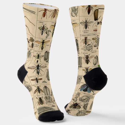 Chaussette Abeille Insecte Bug Wasp Nature Peinture des abeil (Angulaire)