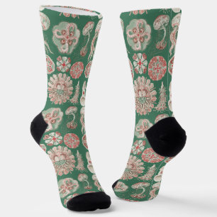 Chaussette Affiche verte de méduse rose de la vie marine d'Er