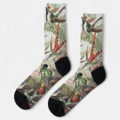 Chaussette Affiche vintage d'Ernst Haeckel représentant des c (Gauche)