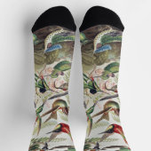 Chaussette Affiche vintage d'Ernst Haeckel représentant des c (Haut)
