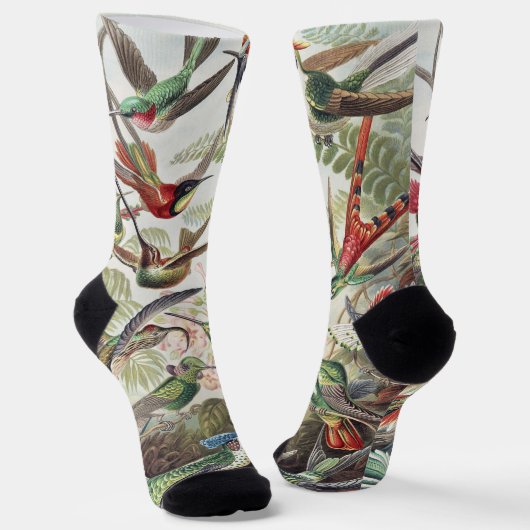 Chaussette Affiche vintage d'Ernst Haeckel représentant des c (Angulaire)