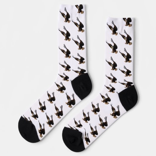 Chaussette Aigle Fondant Sur Sa Proie (Gauche)