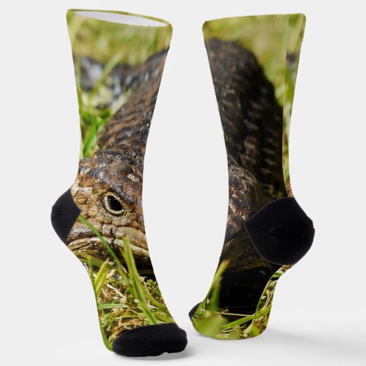 Chaussette Ambler Blindé : La promenade secrète de Shinglebac (Angulaire)