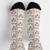 Chaussette American Foxhound Red Walker mignonne Peinture Chi (Haut)
