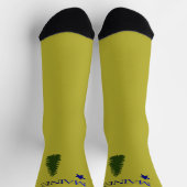 Chaussette Ancien drapeau du Maine (1901) (Haut)