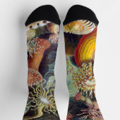 Chaussette Anémone de mer Nature scientifique Océan (Haut)