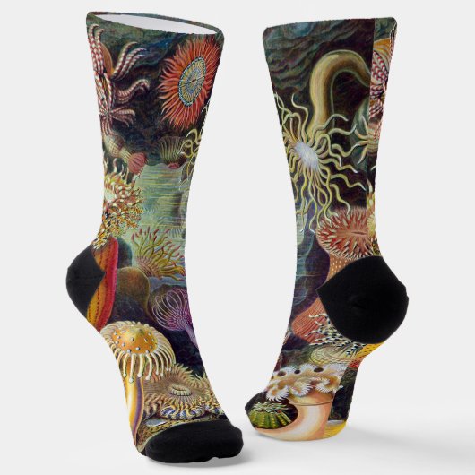 Chaussette Anémones sous-marines vintages par Ernst Haeckel (Angulaire)