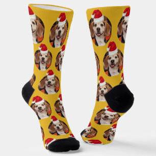 Chaussette Animaux de compagnie Photo Mustard Jaune Chapeau d